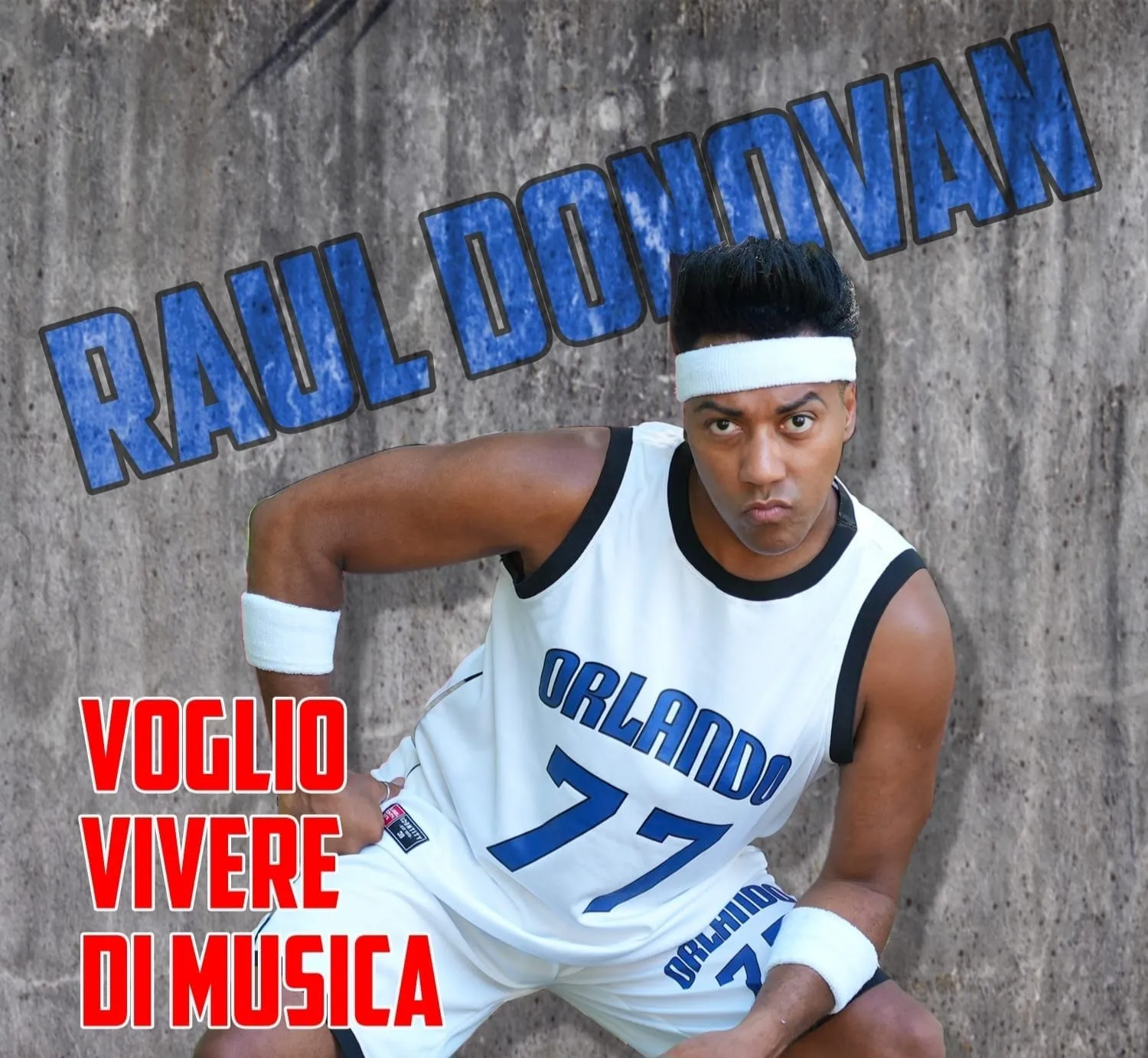 Voglio vivere di musica di Raul Donovan